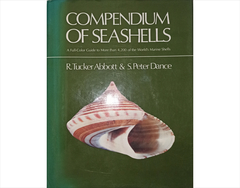Книга compendium of seashells, БУ