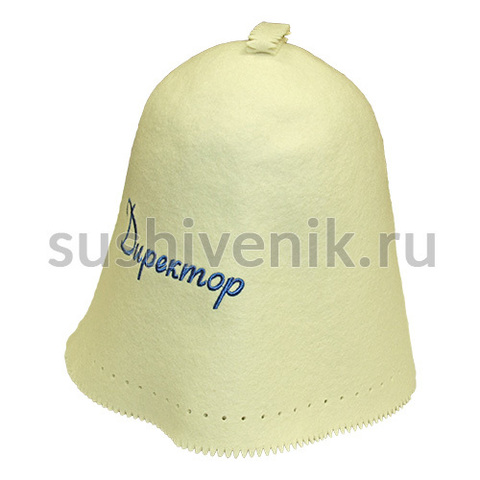 Колпак из фетра Директор - 9