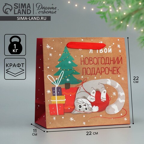 Пакет подарочный, упаковка, «Подарочек», 22×22×11 см