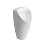 Laufen Caprino Plus 8.4106.1.000.000.1 Писсуар безободковый RIM с внутренним подв. воды (2 режима слива), с креплением (без сифона 8.9418.1 и впускного патрубка), цвет белый