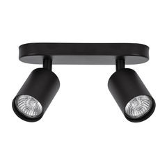 Настенно-потолочный светильник Arte Lamp AQUARIUS A3226PL-2BK