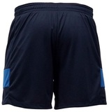 Шорты волейбольные Asics Short мужские
