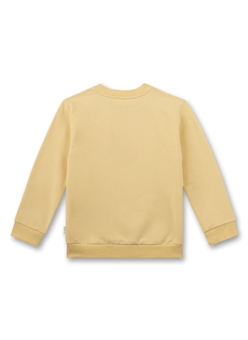 Толстовка Sanetta Kidswear 126318 22084