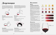 Wine Folly. Детализированное. Издание Магнум