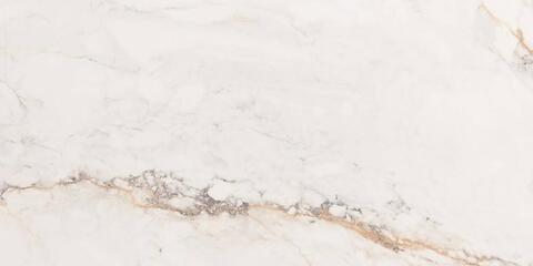 Pamesa Pisa Gold Leviglass 60x120