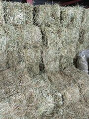 Сено свежее 2026 ,луговое разнотравье, кипа 15-17 кг., премиум качество, в пакете и без.