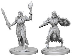 Female Elf Fighter / Эльфийки-воительницы (Pathfinder)