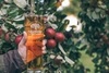 Mortimers Orchard Cider draft