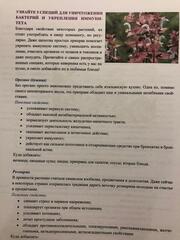 Сборник 
