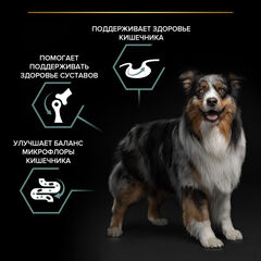 Pro Plan сухой корм для взрослых собак средних пород с чувствительным пищеварением (ягненок) 3 кг