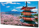 Панель LCD EliteBoard PK555FFLN