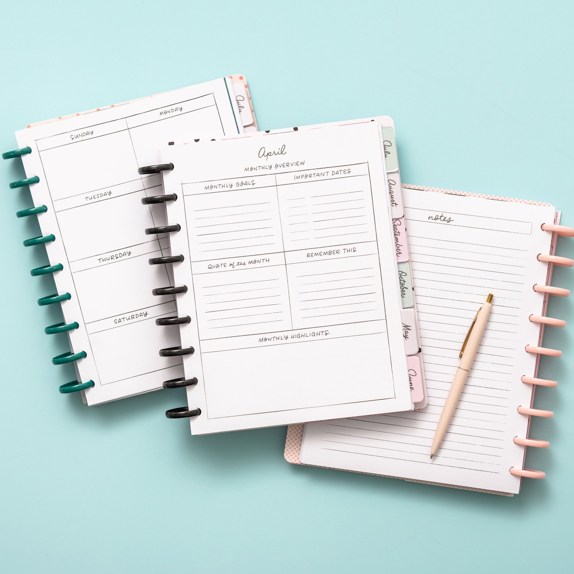 Планер на дисках, не датирован. Maggie Holmes Day-To-Day Undated Dashboard Planner 19х24 см-Blue & Pink Rose