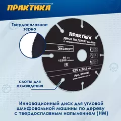 Диск по дереву с твердосплавным зерном ПРАКТИКА 125 х 22 мм для УШМ (910-027)
