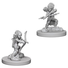 Female Gnome Rogue / Гномихи-плутовки