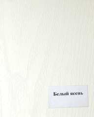 Входная белая металлическая дверь  Нео Вайт 19 Ясень белый, текстура дерева (фурнитура ХРОМ блестящий)