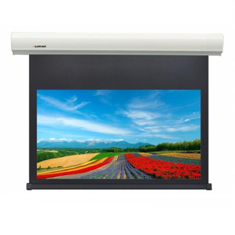 Экран Lumien LCC-100118