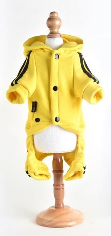 Royal Dog спортивный костюм желтый M