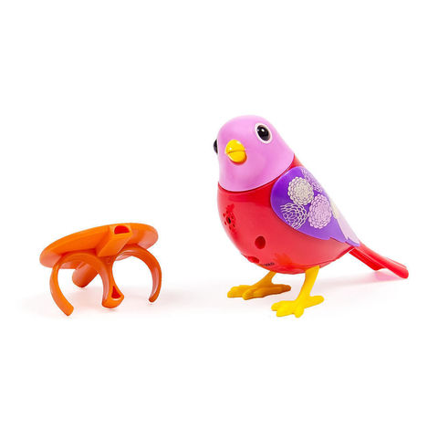 DigiBirds - Bird Red and Pink