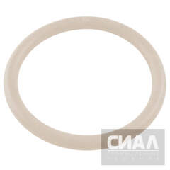 Кольцо уплотнительное круглого сечения (O-Ring) 150x6