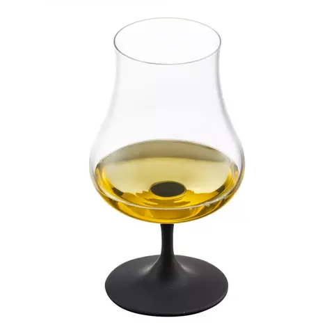 Набор из 2 бокалов для крепких напитков черный Gentleman 220 мл EISCH арт. 86551216
