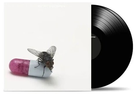 Виниловая пластинка Red Hot Chili Peppers — I'm With You (2 LP) (Уценка)