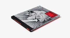 Frank Miller's Ronin Rising Collector's Edition (На английском языке) (БАМП!)