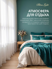 Тюль вуаль BlessLight молочный