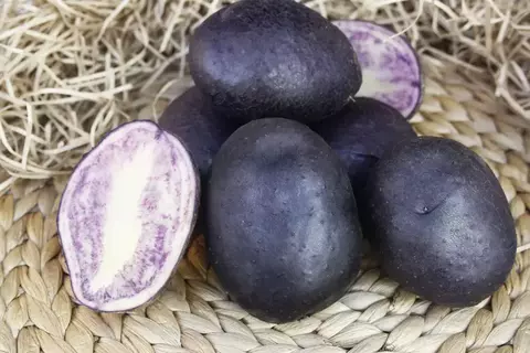 Семенной Картофель Гурман , Э 1кг)