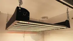 В160хД80хШ60 ГроуБокс Flasher 200W LED Soler & Palau SUPERSILENT + ТЕХ ОТСЕК