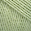 Пряжа YarnArt JEANS 11   (Незрелая фисташка)
