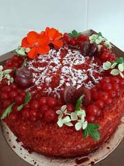 На праздники, корпоративы и др.