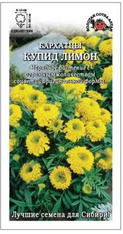 Семена Бархатцы Купид лимон