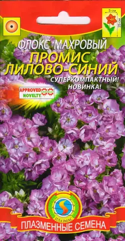Семена Флокс Промис Лиловый