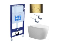 Aquatek Set Aquatek АУРА KDI38 4в1 Set Aquatek АУРА KDI38 4в1 (рама Aquatek INS-0000012+ крепеж KKI-0000002 +кнопка KDI-0000038+унитаз AQ1805T-00) фото