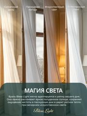Тюль вуаль BlessLight молочный
