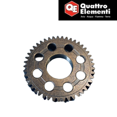 Шестерня QUATTRO ELEMENTI PALERMO 110/125Turbo насоса (242-298-P19)