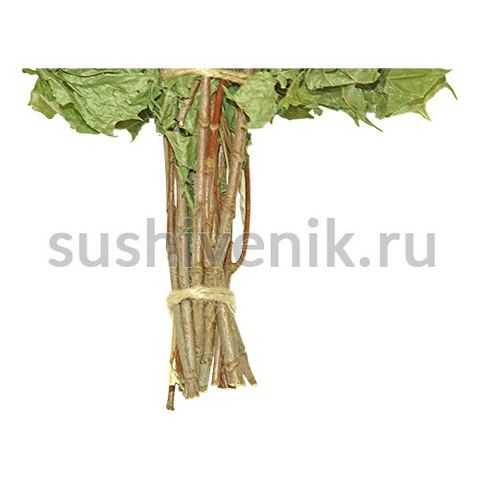 Веник из клена - 4