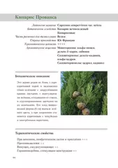 Доминик Боду 