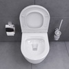 Damixa DX86C1700SC Sirius подвесной унитаз безободковый с сиденьем микролифт