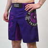 Шорты Hardcore Training Heraldry Magenta