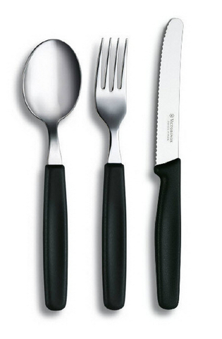 Набор столовых приборов Victorinox Picnic-Set (4.2341)