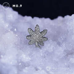 Maple Leaf