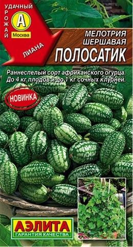 Семена Огурец Мелотрия шершавая Колибри, цв 20 сем
