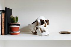 Органайзер для мелочей Skull белый