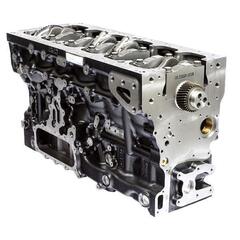 Блок цилиндров в сборе / Short block 1106D Series АРТ: PJ39878R