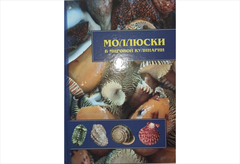 Книга моллюски в мировой кулинарии, Б/У