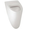 Jacob Delafon Odeon Up E1147-00 Писсуар