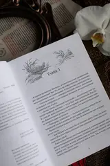 Двенадцать хитростей Ван Ли (Б/У)