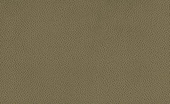 Велюр Tudor (LE) olive (Тудор олив)