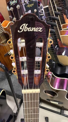 IBANEZ AEG50N-NT